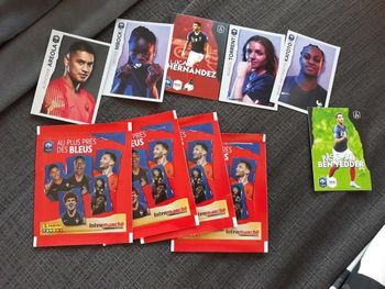 Autocollants panini au plus pres des bleus