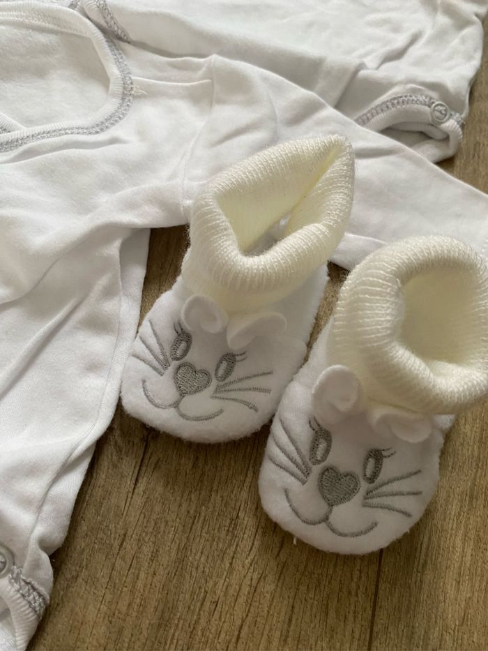 Lot 5 pièces - photo numéro 4