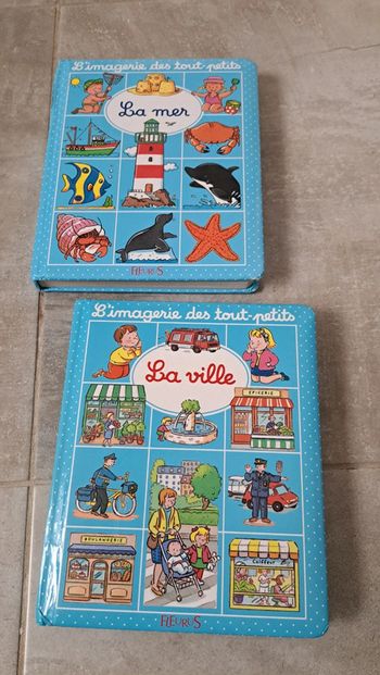 Lot de 2 livres imagier la ville et la mer