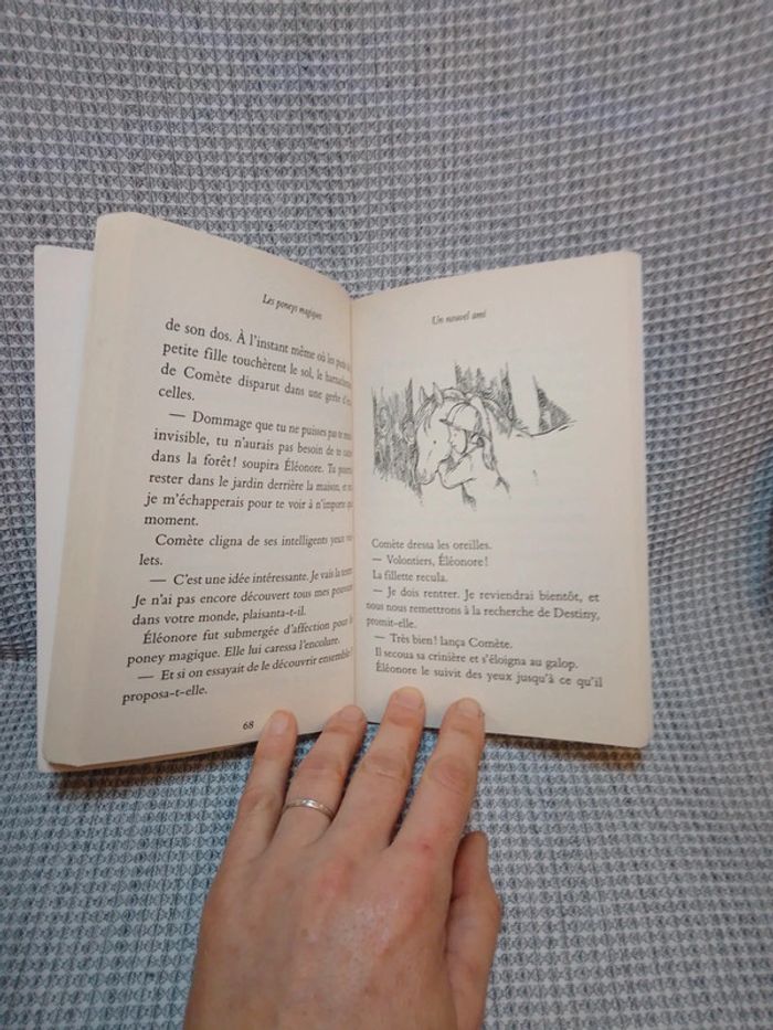 Un Nouvel Ami - Les Poneys Magiques T.1 - photo numéro 7