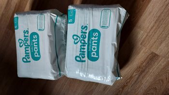 LOT COUCHES PAMPERS PANTS