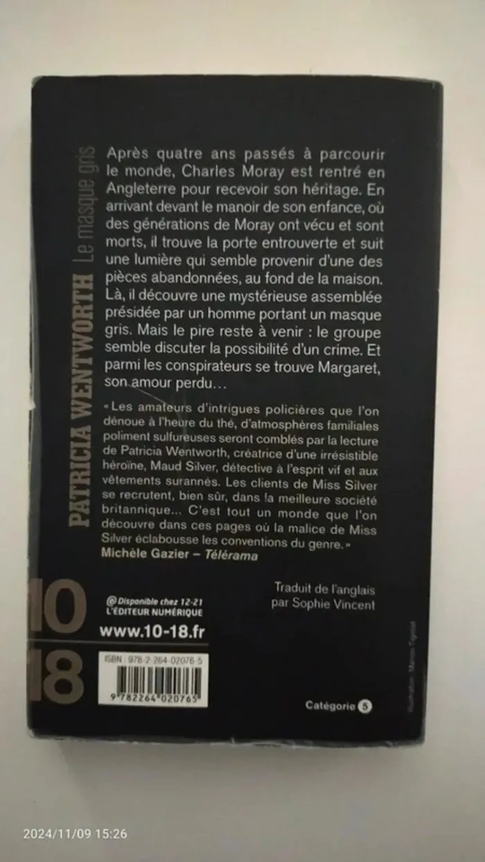 Le masque gris - photo numéro 2