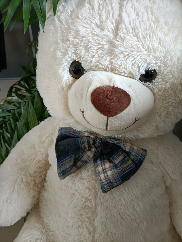 Ours  peluche - photo numéro 3