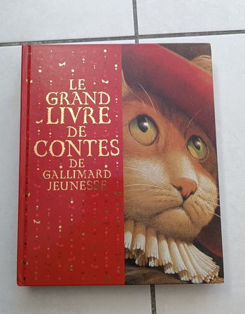 Grand livre de contes