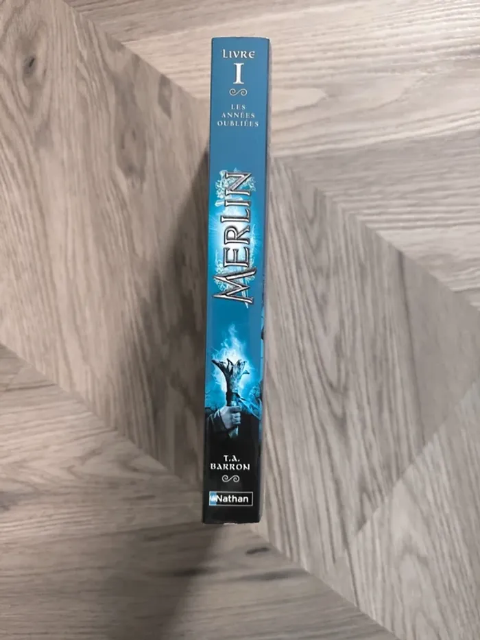 Livre Merlin Tome 1 - photo numéro 2