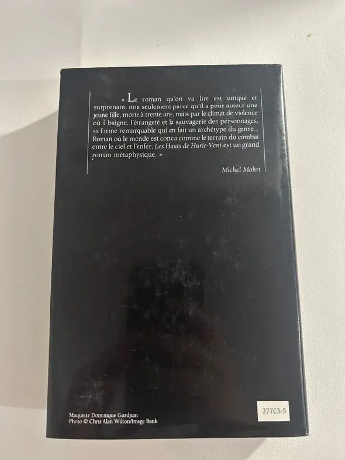 Les hauts de hurlevents - photo numéro 2