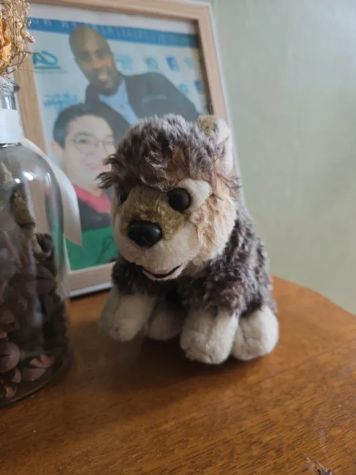 📚 peluche loup 📚 - photo numéro 2