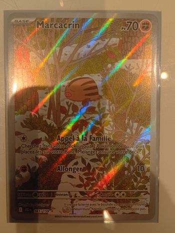 Carte Pokémon Marcacrin 165159 Écarlate et Violet Mascarade Crépusculaire