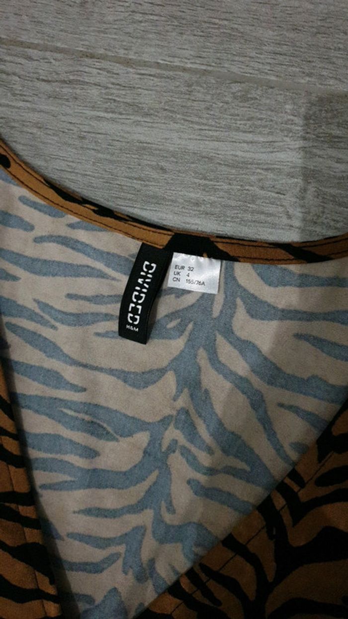 Robe Tigre - photo numéro 2