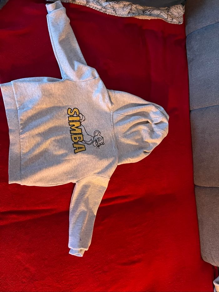 Veste grise simba