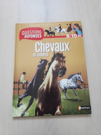 Questions réponses chevaux et poneys