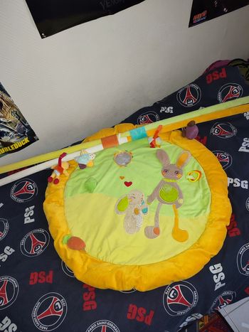 Vends tapis d'éveil