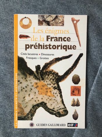 Les énigmes de la France préhistorique ELF