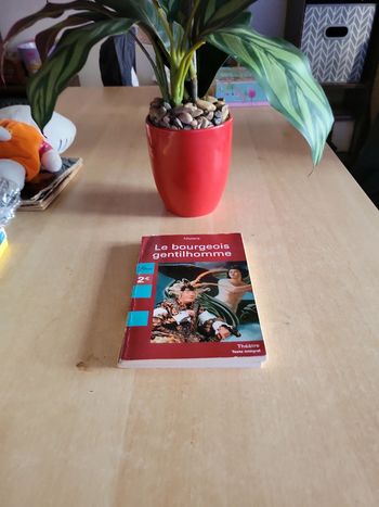 Le bourgeois gentilhomme