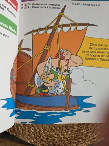 Astérix MAx. 192 pages de BD