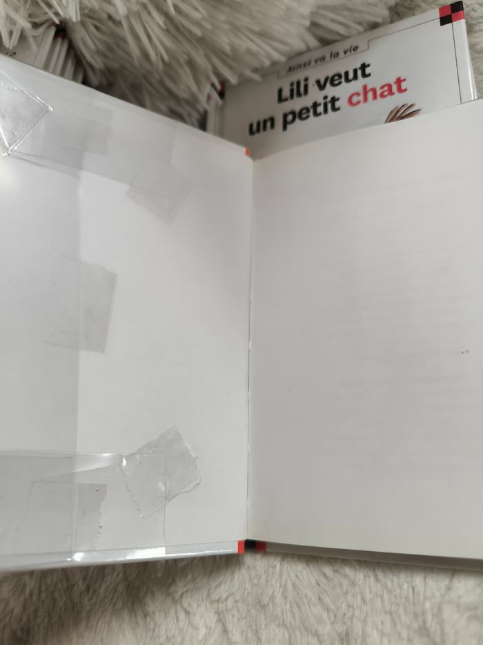 Lot livres max et Lili - photo numéro 7
