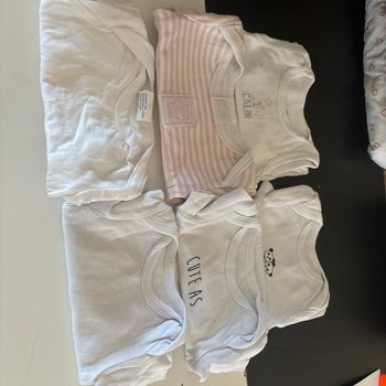 Lot bodies