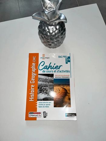 Livre scolaire lycée bac pro 1ere année