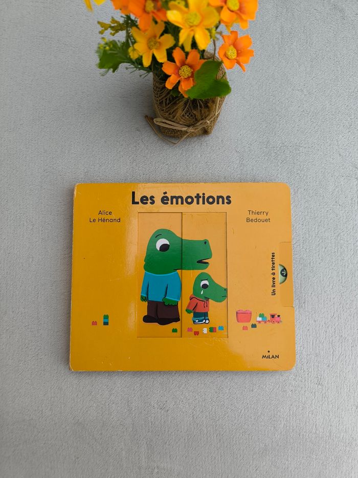 Livre Les émotions Milan