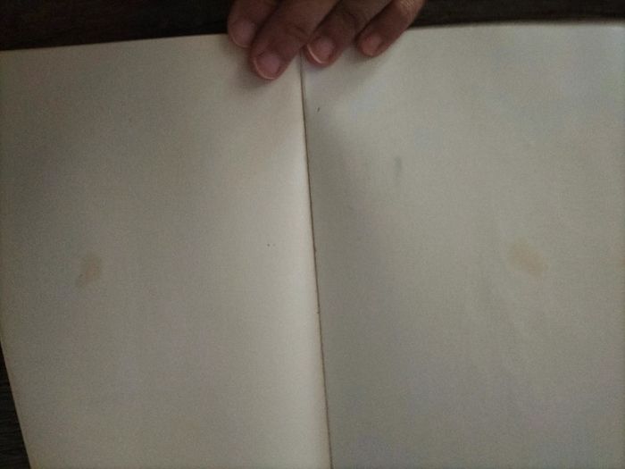 Une avalanche de conséquences - photo numéro 3