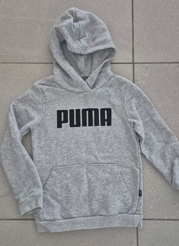 Pull puma