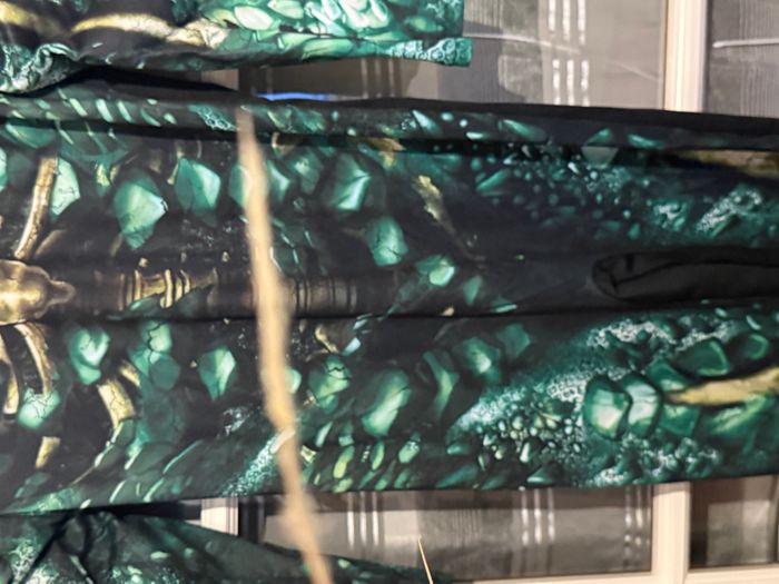 Déguisement enfant Halloween dragon squelette vert 7/10 ans - photo numéro 4