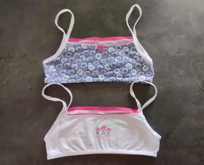 Lot de 2 brassières absorba