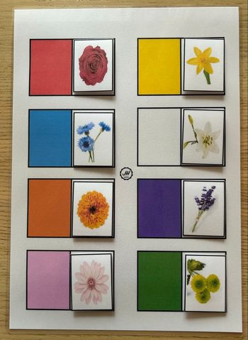 Fiche Montessori : Les couleurs et les fleurs 
