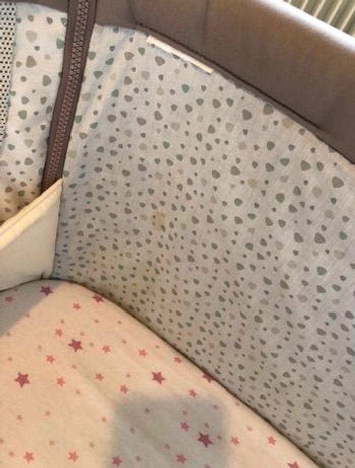 Cododo Chicco - photo numéro 6