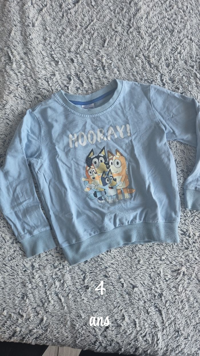 Pull Bluey garçon 5 ans - photo numéro 2