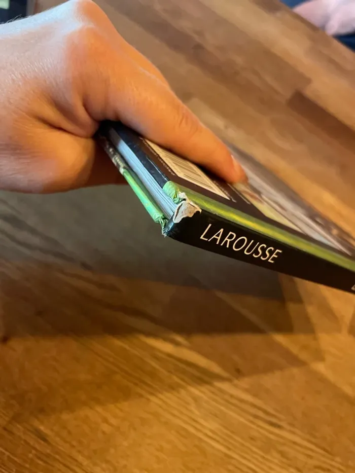 Livre Les dinosaures À la loupe - photo numéro 14