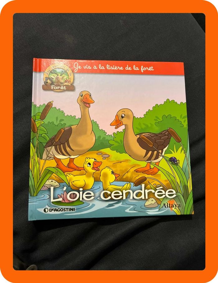 Livre l oie cendrée