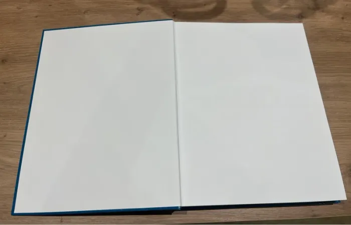 Livre Le Manuel du Bricolage facile - Massin - photo numéro 4