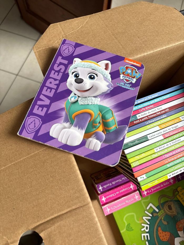 Carton lot de livre - photo numéro 4
