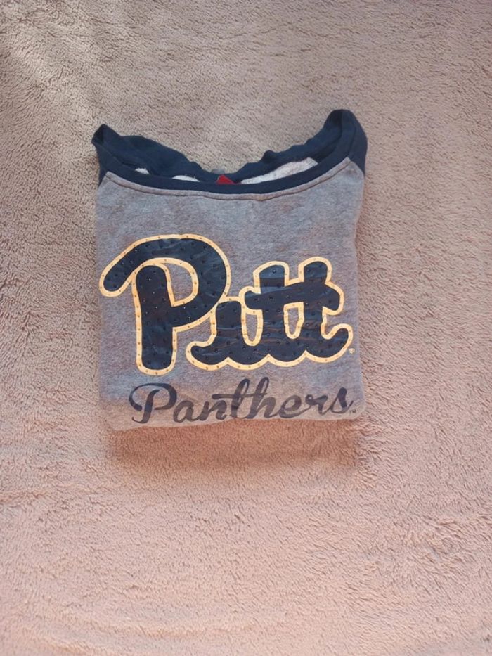 Pull/Sweat Vintage Colosseum Pitt Panthère