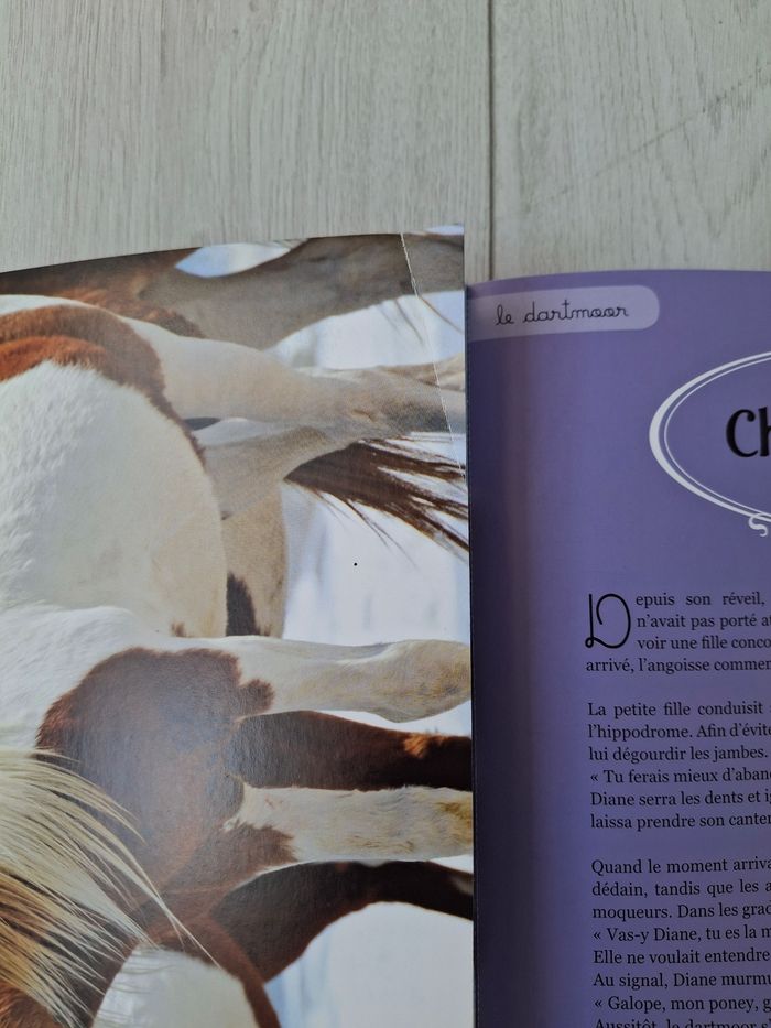 Livre Mes plus belles histoires de poney 🐴 - photo numéro 7
