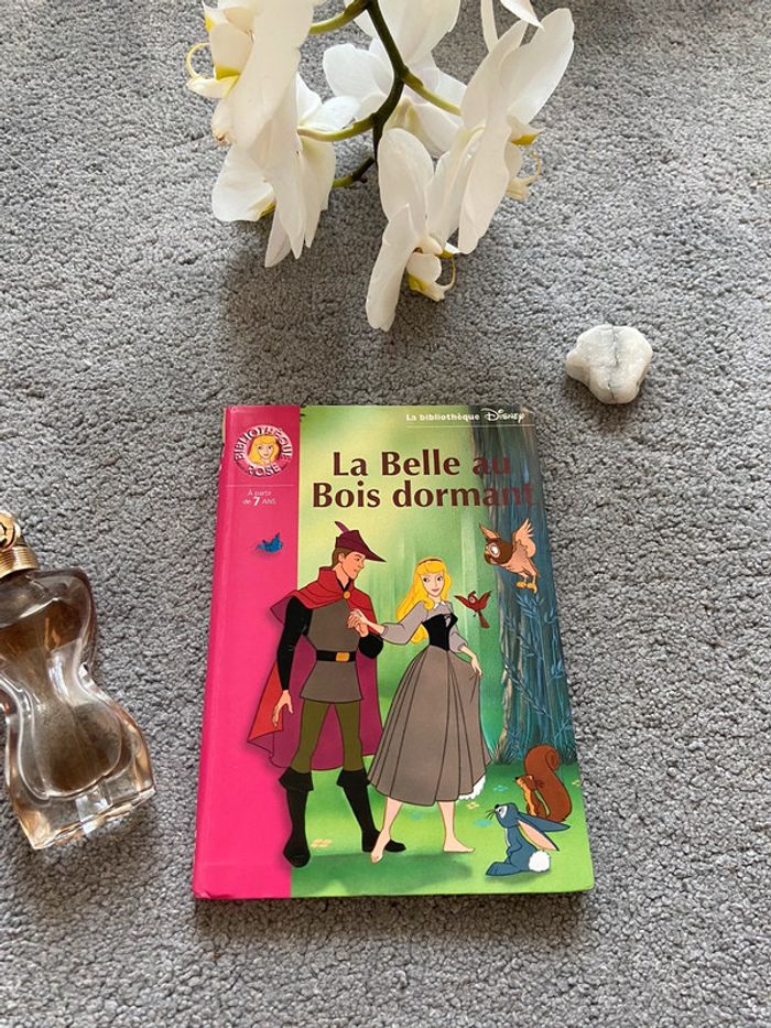 Lots de livres - photo numéro 4