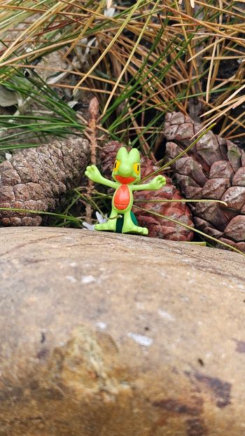 Super petite figurine Pokemon Nintendo Arcko