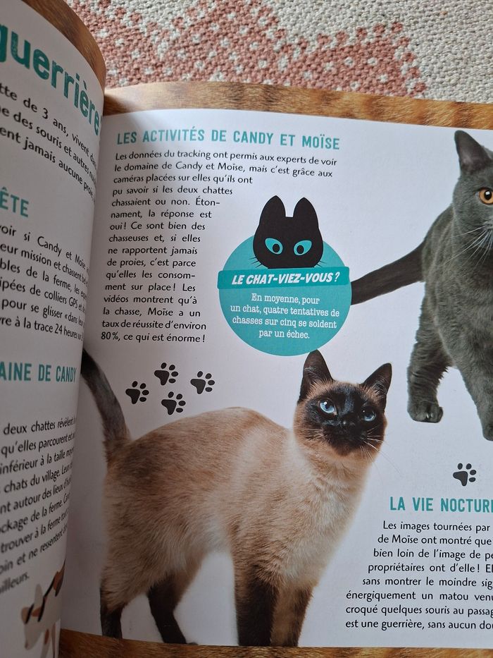 La vie secrète des chats - photo numéro 10