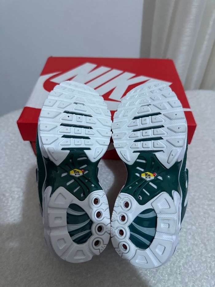 Tn nike Lacoste - photo numéro 6