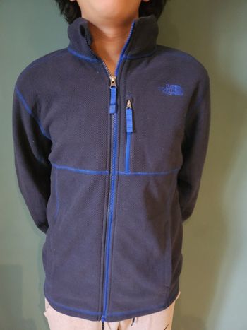 Polaire North face