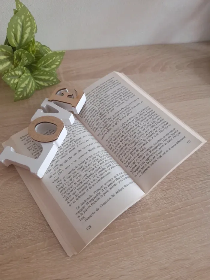 Livre / Le bal des louves tome 1 - photo numéro 6