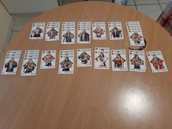 Album Panini 2022 WWE cartes champions