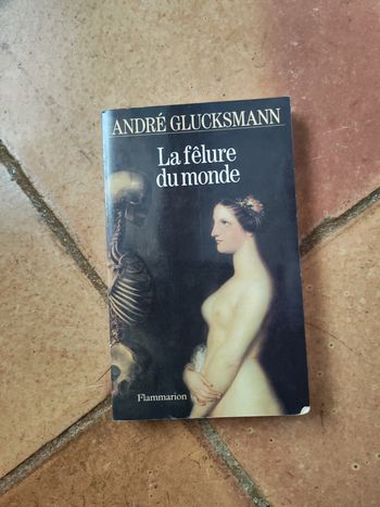 André Glucksmann, roman La fêlure du monde