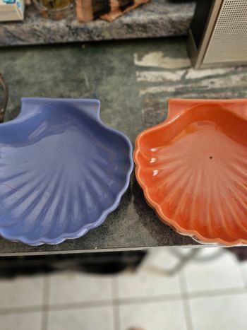 Deux coquillage deco