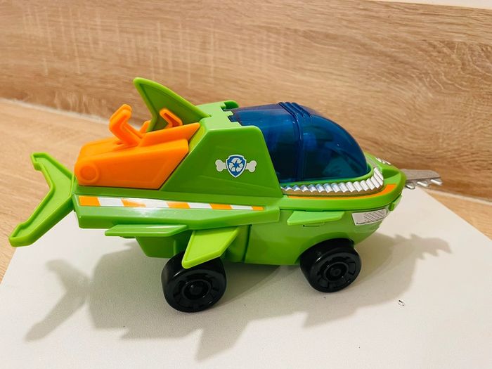 Rocky Aqua pups - photo numéro 2