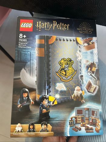 76385 LEGO Harry Potter Poudlard Le Cours de sortilèges