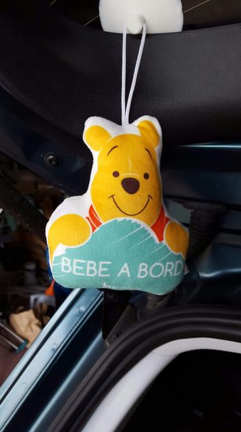 Bebe a bord ventouse