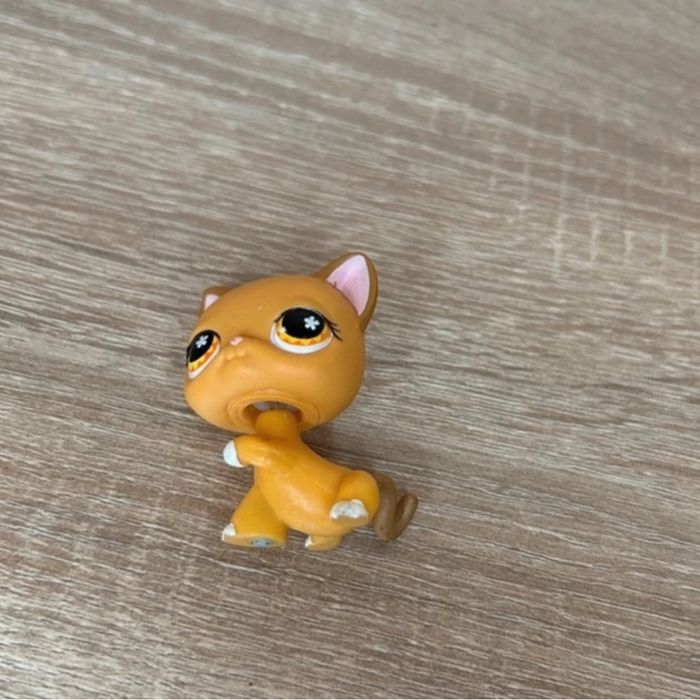 Petshop Chat - photo numéro 3