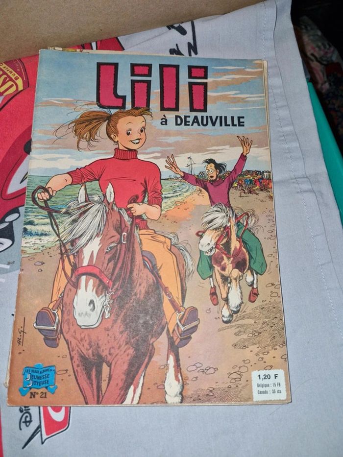 Lot de 4 livres style journaux lili vintage - photo numéro 2